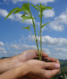 Ецологіа.жпг