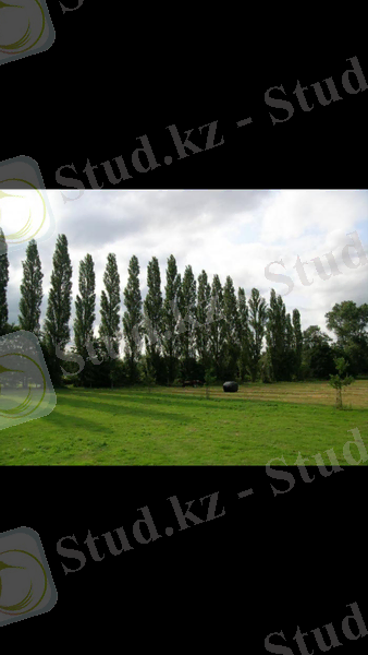 C:\Users\гулбану\AppData\Local\Microsoft\Windows\Temporary Internet Files\Content.Word\Screenshot_20210419-095018_Gallery.jpg