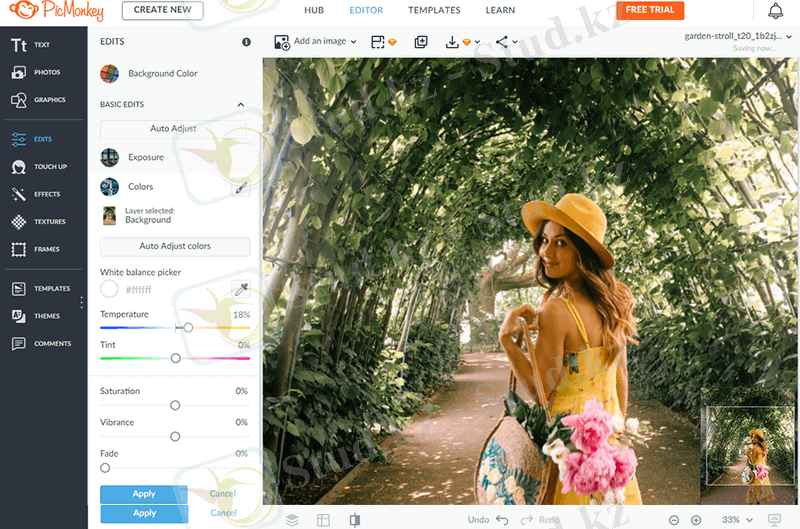 picmonkey websites like canva
