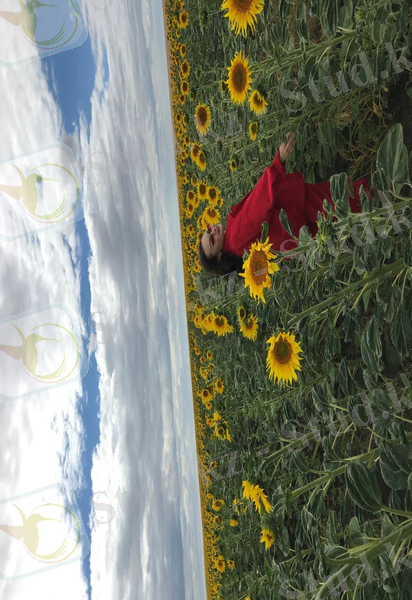 C:\Users\user\Downloads\image-20-10-20-03-41 (1).heic