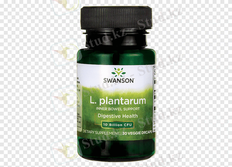 https://e7.pngegg.com/pngimages/584/469/png-clipart-lactobacillus-plantarum-probiotic-gastrointestinal-tract-dietary-supplement-lactobacillus-gasseri-probiotic-service-grass.png