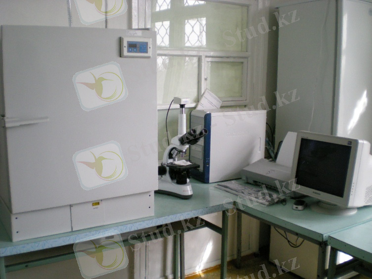 Описание: Изображение 047