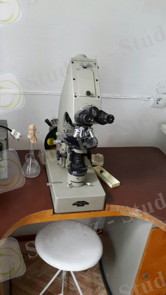 Описание: IMG_4675