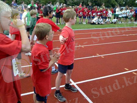 Жазғы спорт түрі дегеніміз не?