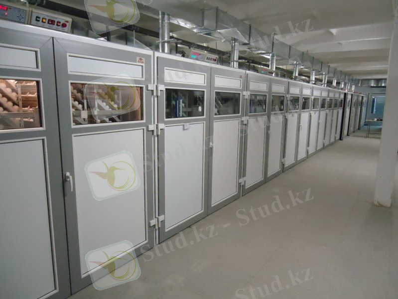 Инкубатор шкафного типа 4.jpg