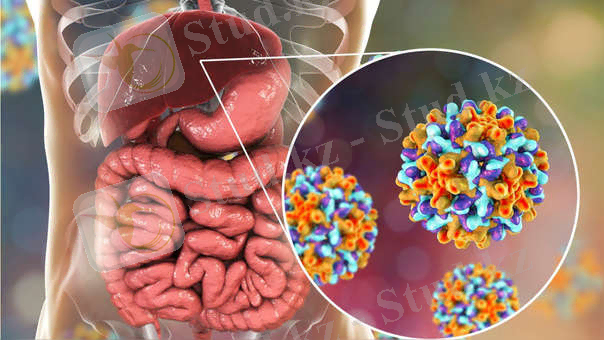 Concerns of a pregnant patient with Hepatitis B - 1st for Credible ... 