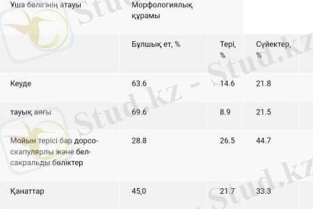 WhatsApp Image 2022-04-03 at 01.29.31.jpeg