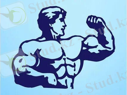 Понравилось. 