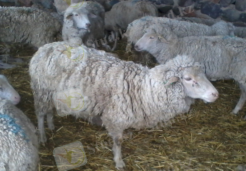 G:\фото жаркент\2014-04-14 08.23.55.jpg