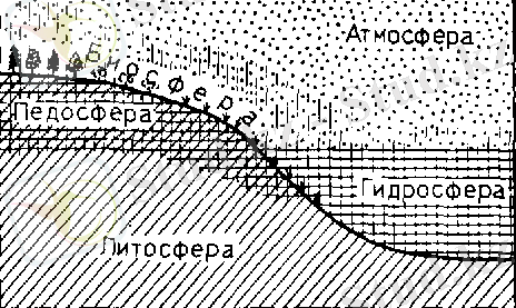 1.2. Алғашқы топырақ түзілу процесі - Пәнінің оқу-әдістемелік кешені №1 басылым ПӘннің ОҚУ-Әдістемелік кешені