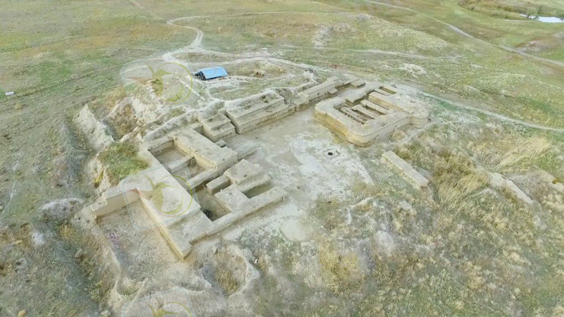 Изображение выглядит как трава Автоматически созданное описание