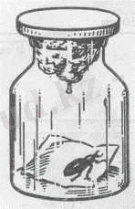 Описание: D:\Documents\диплом\фото с нета\морилка.jpg