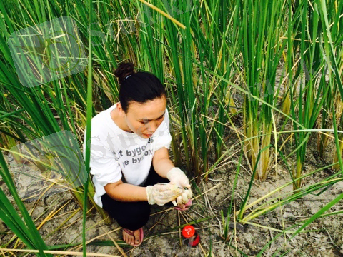 C:\Users\User\Desktop\ДИП 2018\Салтанат\FullSizeRender-09-03-18-04-23-4.jpg