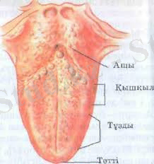 Похожее изображение