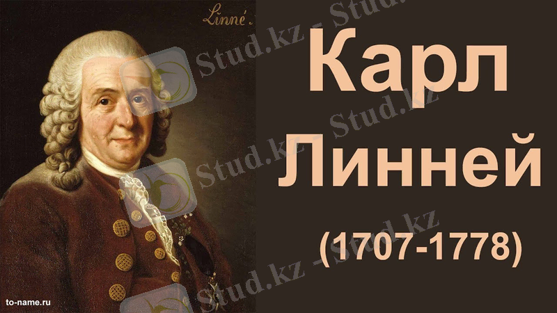 Карл Линней — биографический очерк - YouTube