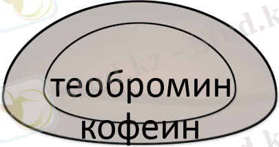 Кофе, кофеин и теобромин. Кофе, Кофеин, Теобромин, Интересное