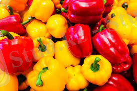 Без названия.jpg