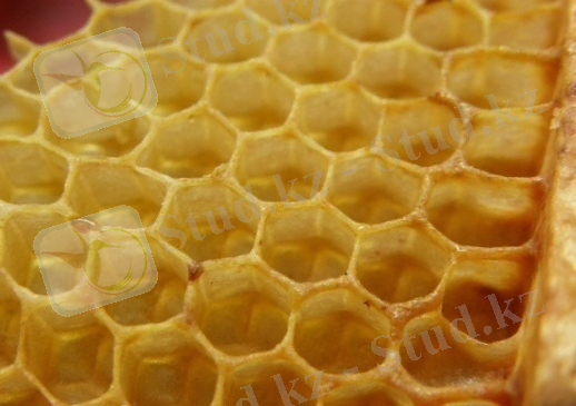 C:\Documents and Settings\Admin\Рабочий стол\Картинки для работы Мёд\мёд\00011.jpg