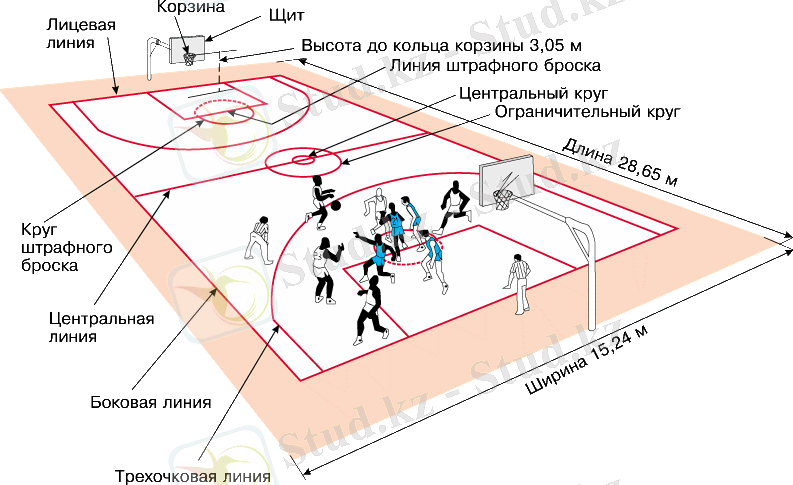 Допты себетке тастау т?сілдері. Орында ж?не ?оз?алыста. - физкультура, уроки
