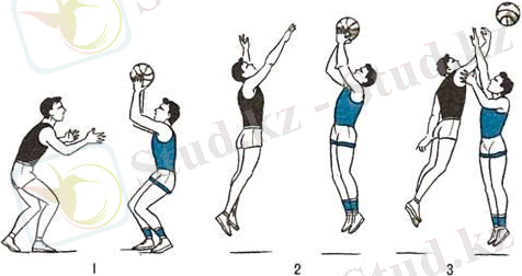Баскетбол допты себетке салу. 2-4М. - физкультура, уроки