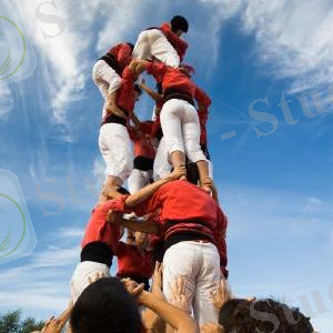 командалық ойындар табиғатта