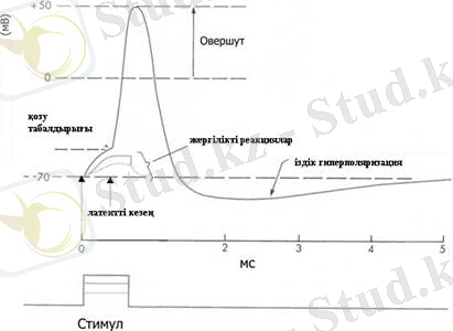 Дәріс. Қозғыш тканьдер физиологиясы. Қозғыштық және қозу. Қозғыш тканьдер және олардың қасиеттері.