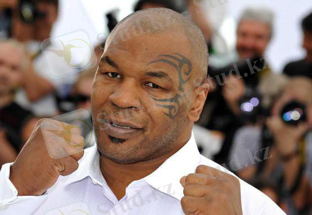 бокс тарихындағы ең үздік боксшылар