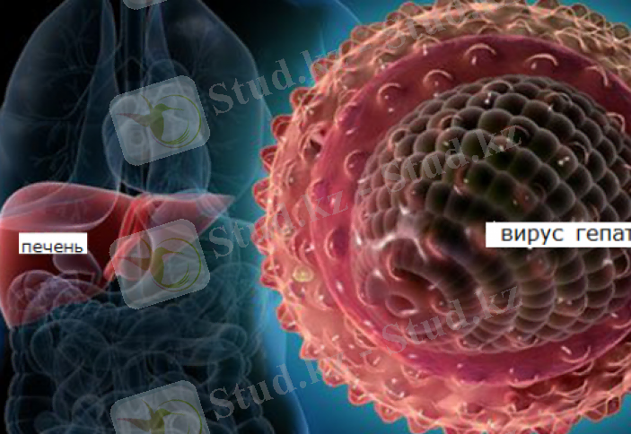 Вирусты гепатит несімен қауіпті? Елімізде қанша адам осы дертке шалдыққан?