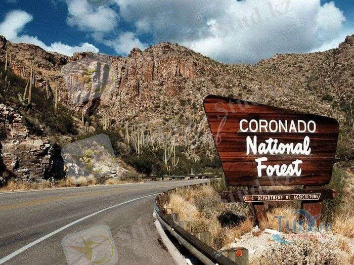 Национальный Лесной Заповедник Коронадо
