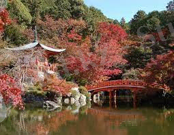 C:\Users\User\AppData\Local\Microsoft\Windows\INetCache\Content.MSO\54A4F2ED.tmp