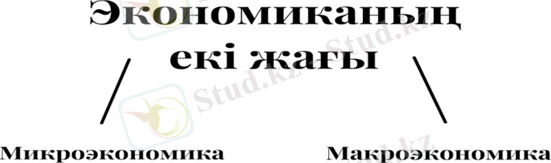 C:\Users\User\AppData\Local\Microsoft\Windows\Temporary Internet Files\Content.Word\IMG_7523.jpg
