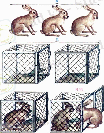 Image result for принцип Дирихле