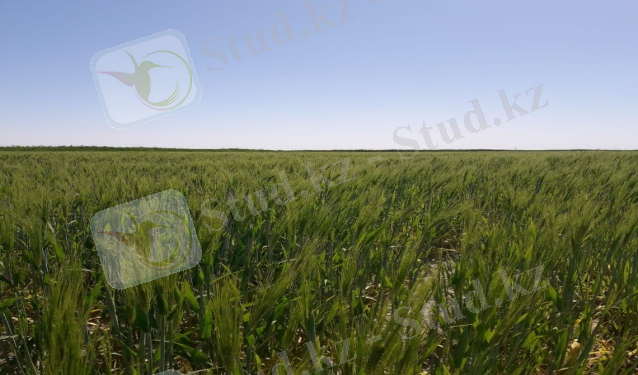 C:\Users\user\Desktop\КЕРЕК СУРЕТ\IMG-20200528-WA0078.jpg