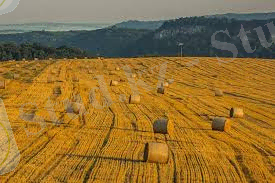 Хештег неиспользуемые земли