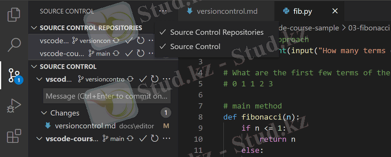 Параметр просмотра репозиториев системы управления версиями в дополнительном меню