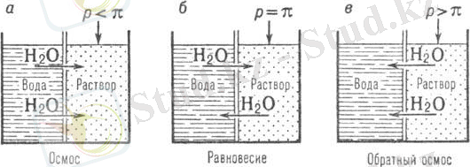 Производство экстракционной фосфорной кислоты