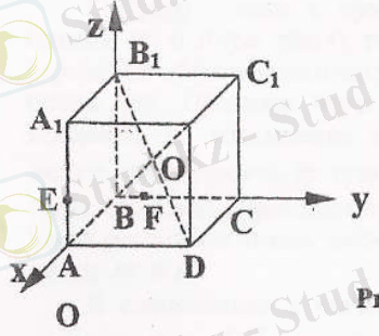 C:\Documents and Settings\Ольга Алексеевна\Рабочий стол\Яркова\22.jpg