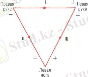 treugolnik_eynthovena