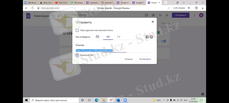 C:\Users\user\Desktop\Новая папка\13.jpg