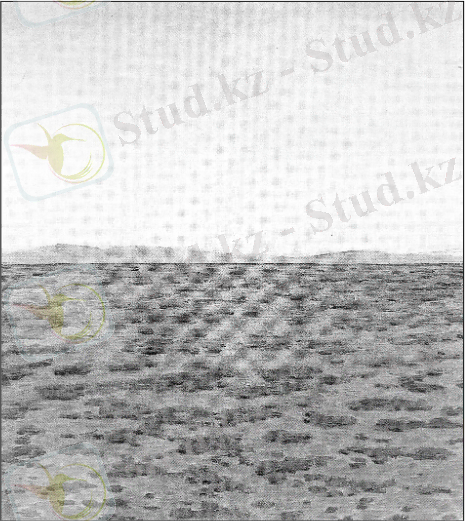 C:\Users\HP Prson\Desktop\вввм.PNG