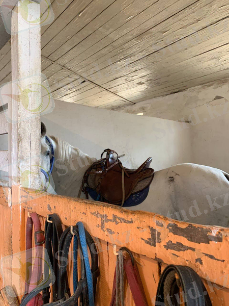 C:\Users\Гульдана\Desktop\практика физио\16.jpg