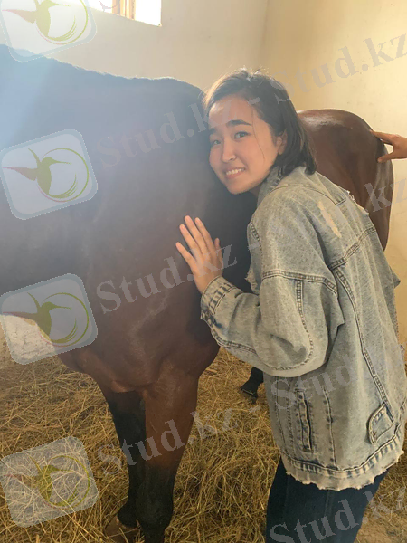 C:\Users\Гульдана\Desktop\практика физио\12.jpg