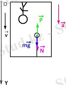 Вес тела направлен вверх.