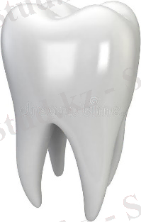 Белый зуб иллюстрация штока. иллюстрации насчитывающей людск - 41963695