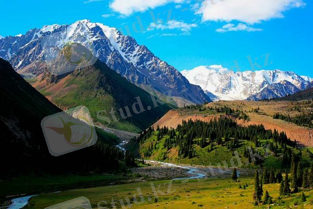 Таулар туралы қызықты мәліметтер - Қазақстан жаңалықтары | STAN.KZ