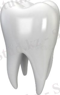 Белый зуб иллюстрация штока. иллюстрации насчитывающей людск - 41963695