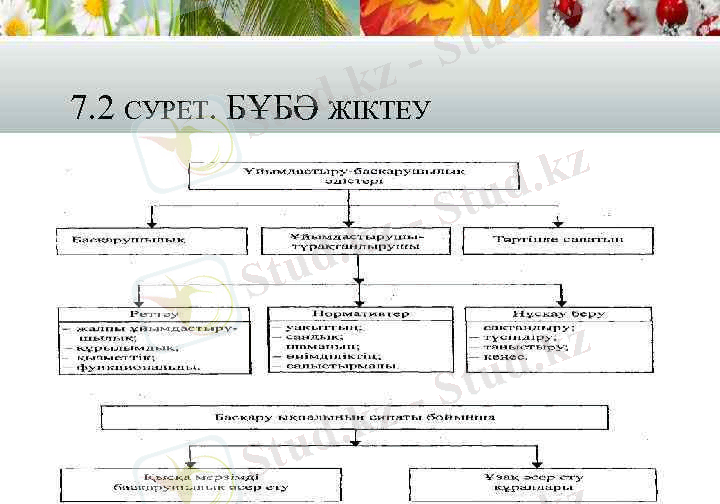 7. 2 СУРЕТ. БҰБӘ ЖІКТЕУ 