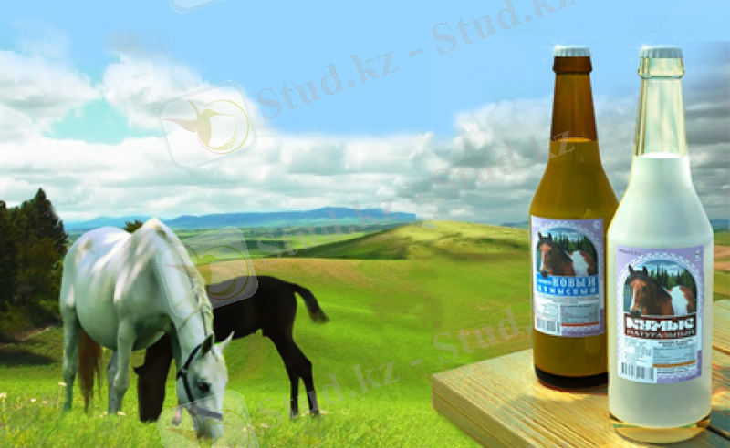 Картинки по запросу қымыз дайындау