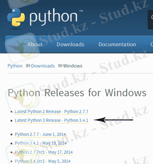 Загрузка Python - шаг 1. Обязательно выбираем python 3