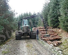https://upload.wikimedia.org/wikipedia/commons/thumb/9/91/Stacking_logs_on_forest_track_-_geograph.org.uk_-_996727.jpg/220px-Stacking_logs_on_forest_track_-_geograph.org.uk_-_996727.jpg